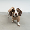 Load image into Gallery viewer, PULLOVER Dackel Camel
