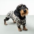 Load image into Gallery viewer, PULLOVER Dackel Leo
