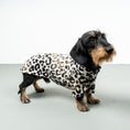 Load image into Gallery viewer, PULLOVER Dackel Leo
