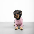 Load image into Gallery viewer, Polar fleece sweater for dachshund Mulberry 
