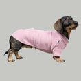 Load image into Gallery viewer, Polar fleece sweater for dachshund Mulberry 
