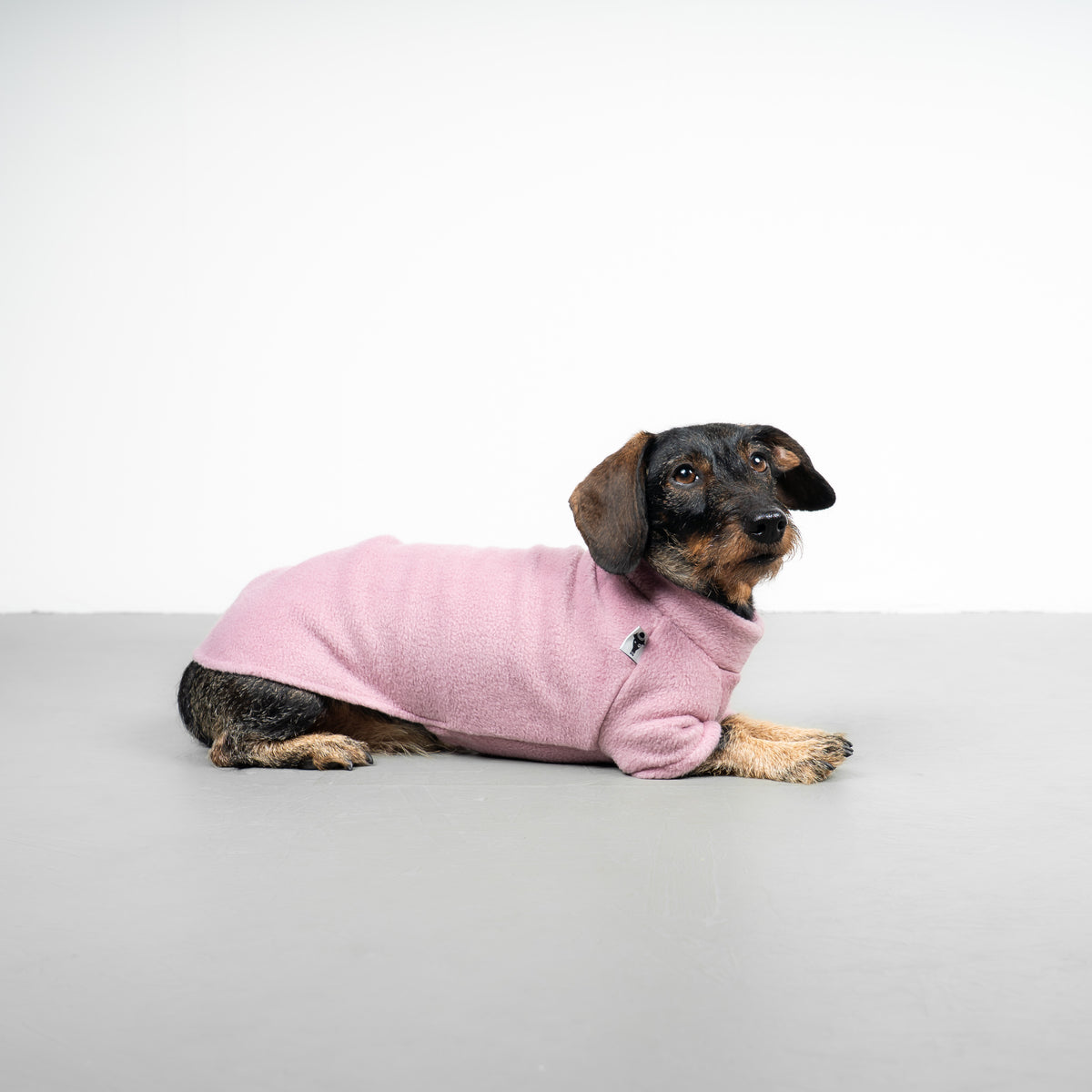 Polar fleece sweater for dachshund Mulberry 