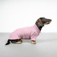 Load image into Gallery viewer, Polar fleece sweater for dachshund Mulberry 

