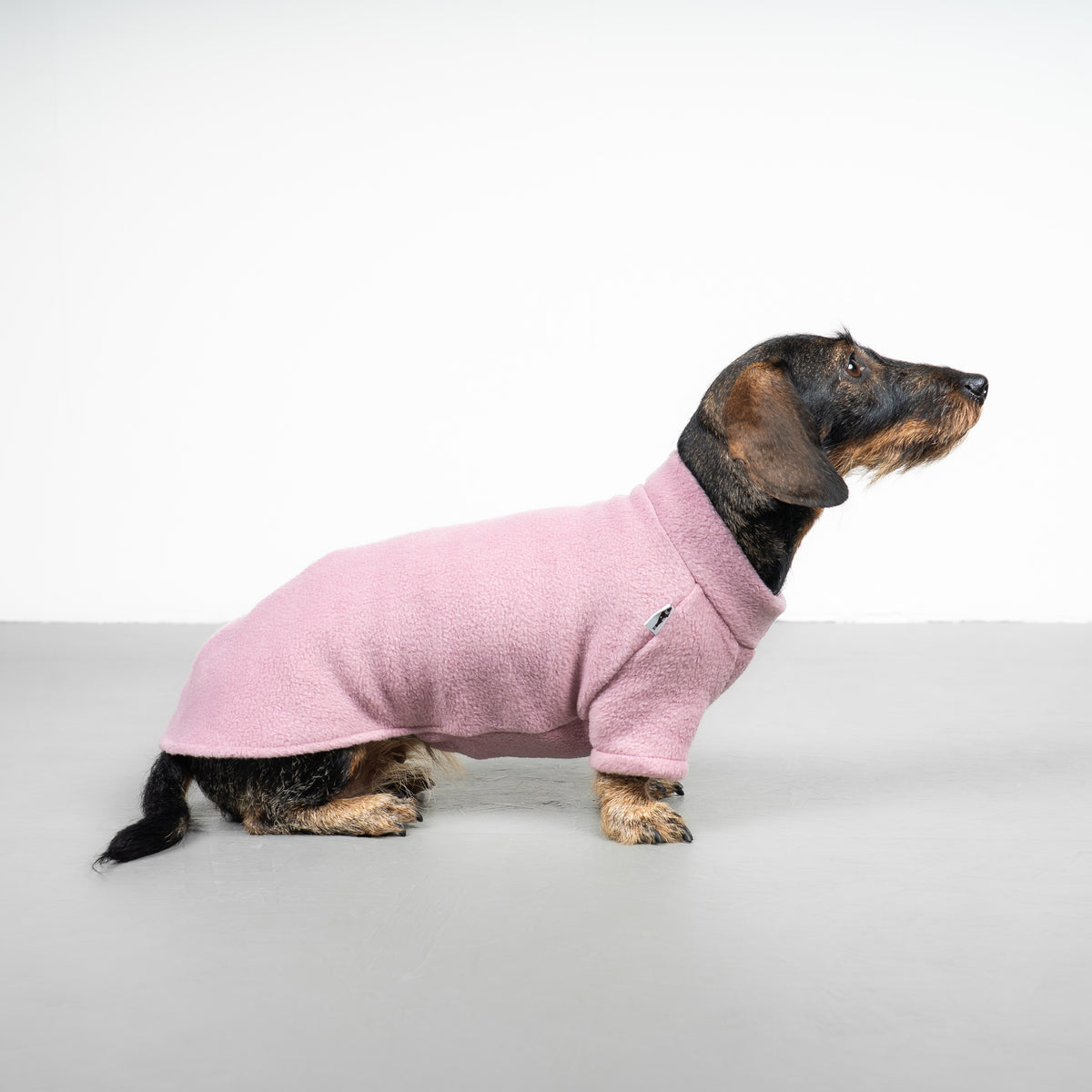 Polar fleece sweater for dachshund Mulberry 