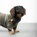 Load image into Gallery viewer, Polar fleece sweater for dachshund camouflage
