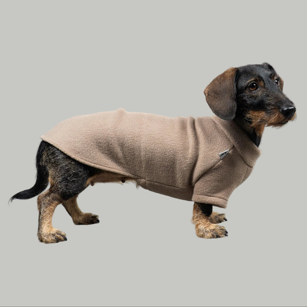Polar fleece sweater for dachshund Walnut 