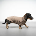 Load image into Gallery viewer, Polar fleece sweater for dachshund Walnut 
