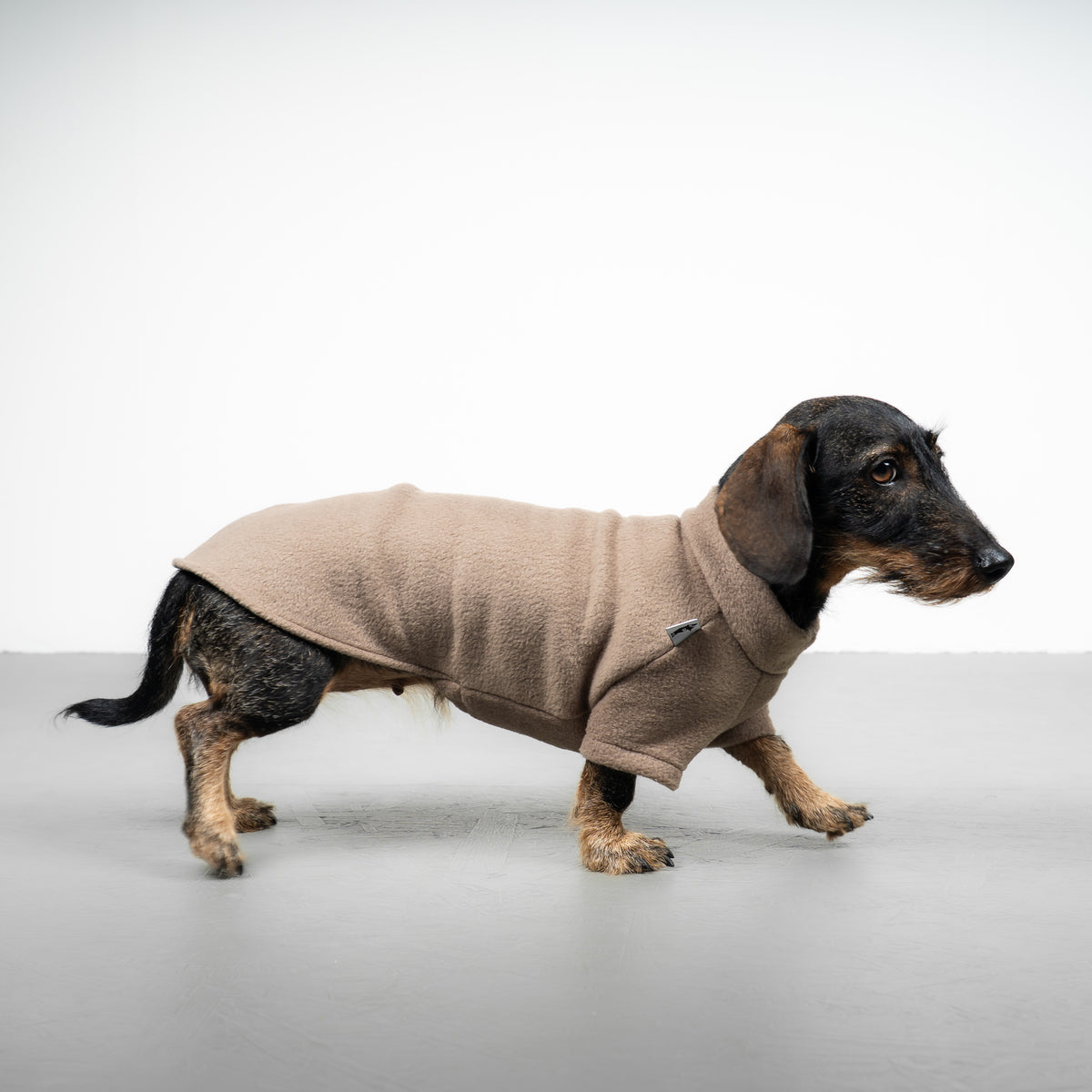 Polar fleece sweater for dachshund Walnut 