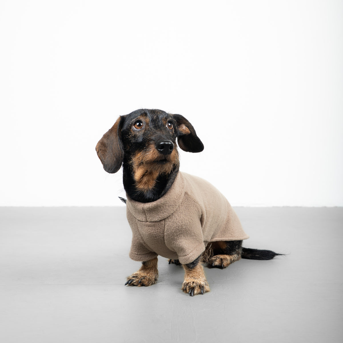 Polar fleece sweater for dachshund Walnut 