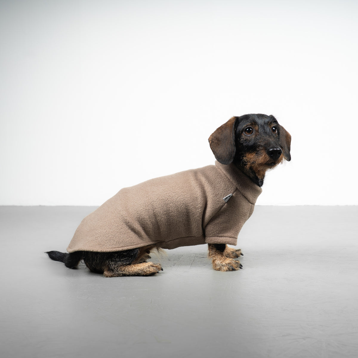 Polar fleece sweater for dachshund Walnut 