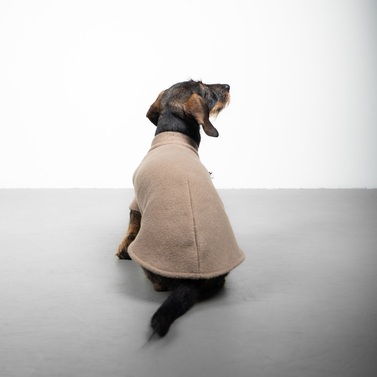 Polar fleece sweater for dachshund Walnut 