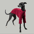 Load image into Gallery viewer, PULLOVER Iggy Weinrot
