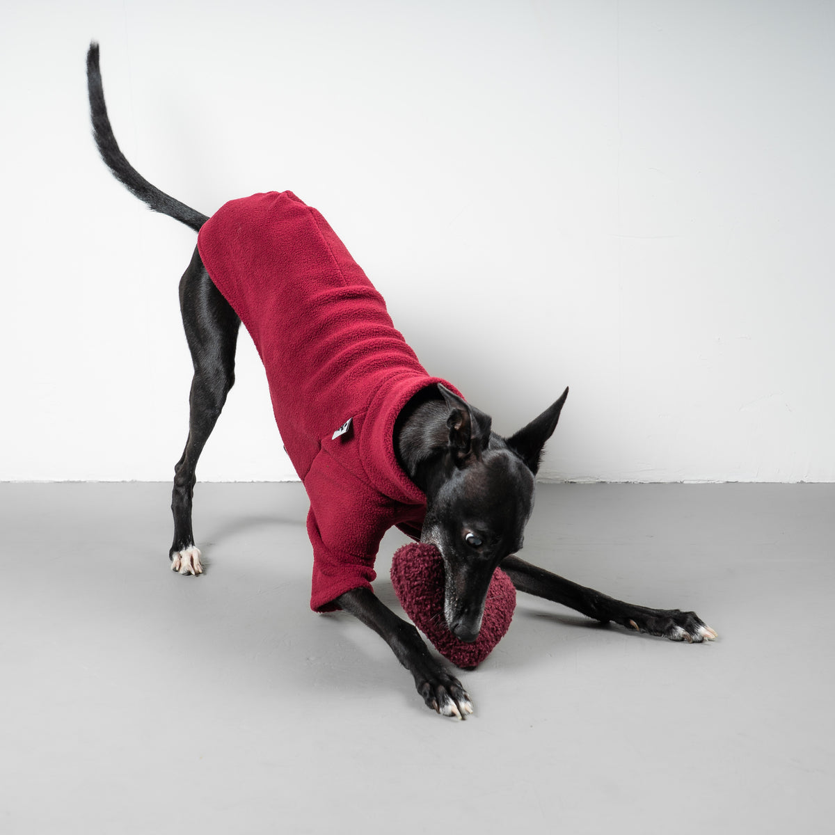 PULLOVER Iggy Weinrot