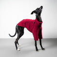 Load image into Gallery viewer, PULLOVER Iggy Weinrot
