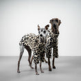 Load image into Gallery viewer, PULLOVER Iggy Leo
