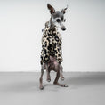 Load image into Gallery viewer, PULLOVER Iggy Leo
