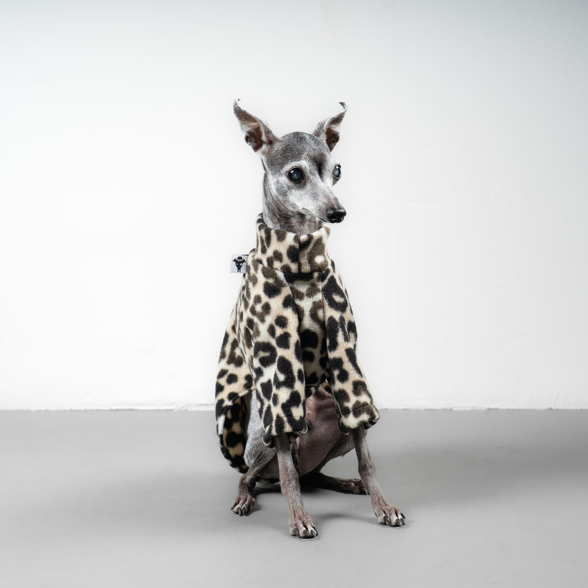 PULLOVER Iggy Leo