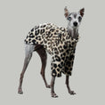 Load image into Gallery viewer, PULLOVER Iggy Leo
