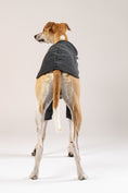 Load image into Gallery viewer, Whippet trägt Karma Hund Pullover aus Fleece in Anthrazit – gemütliche Hundemode für Herbst und Winter.
