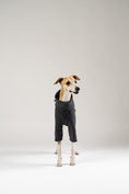 Load image into Gallery viewer, Whippet im weichen Fleece-Pullover in Anthrazit von Karma Hund – hochwertiger Komfort für modebewusste Hunde.
