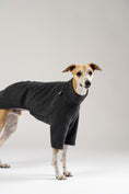 Load image into Gallery viewer, Hundemodel Whippet trägt anthrazitfarbenen Karma Hund Fleece-Pullover – klassischer Look mit sportlicher Eleganz.
