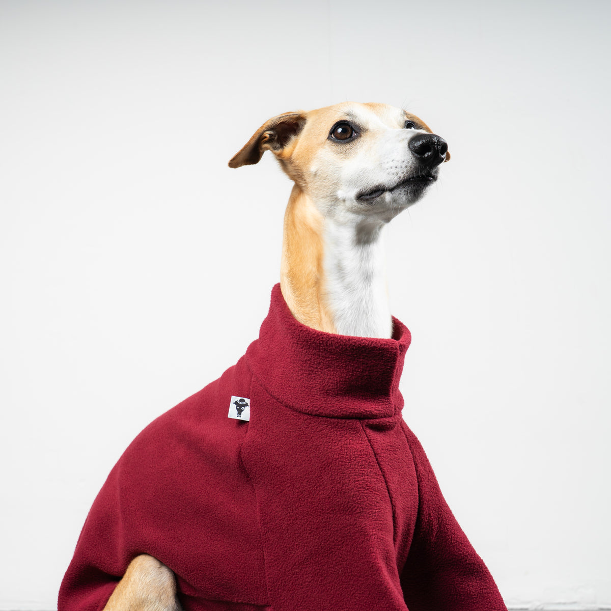 PULLOVER Windhund Weinrot