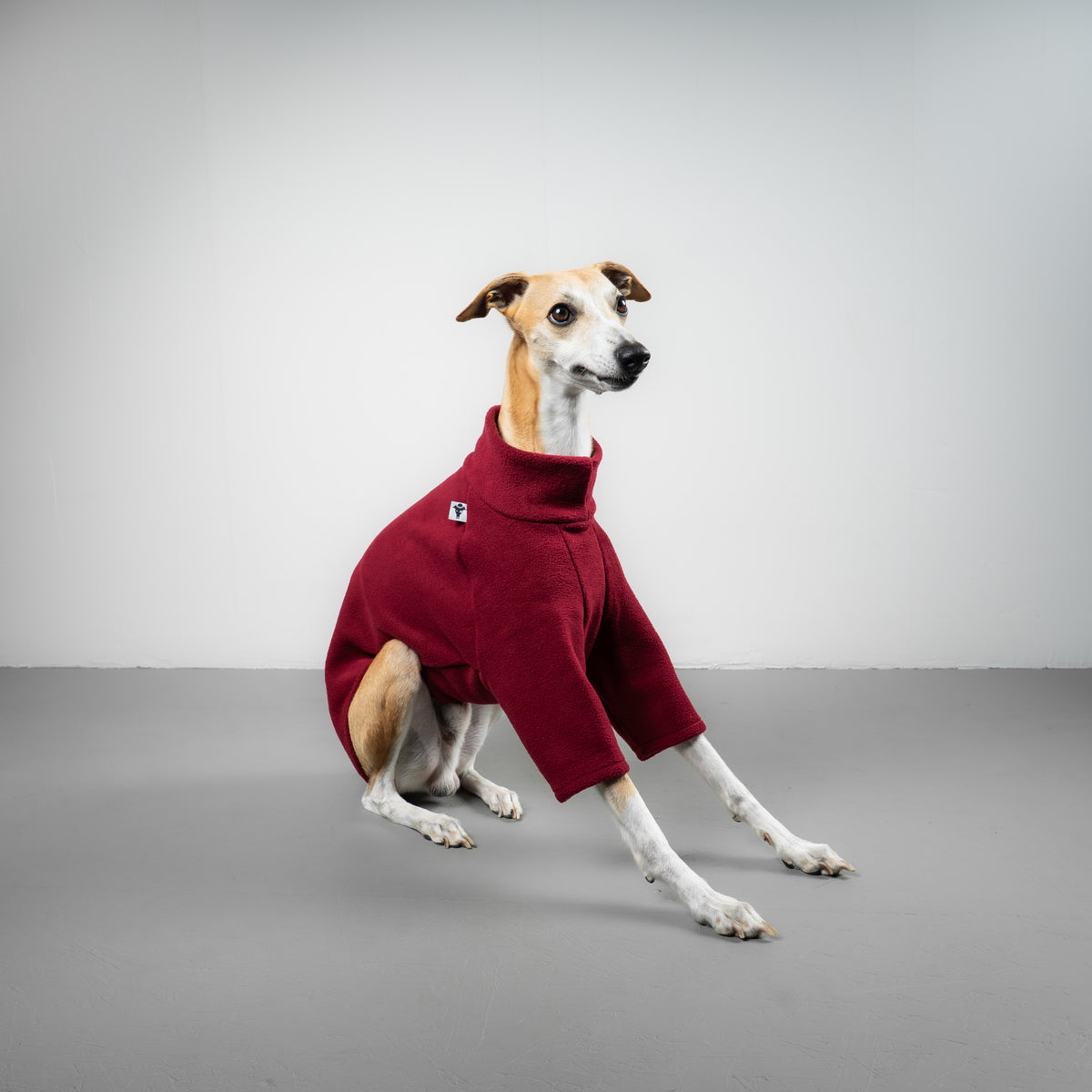 PULLOVER Windhund Weinrot
