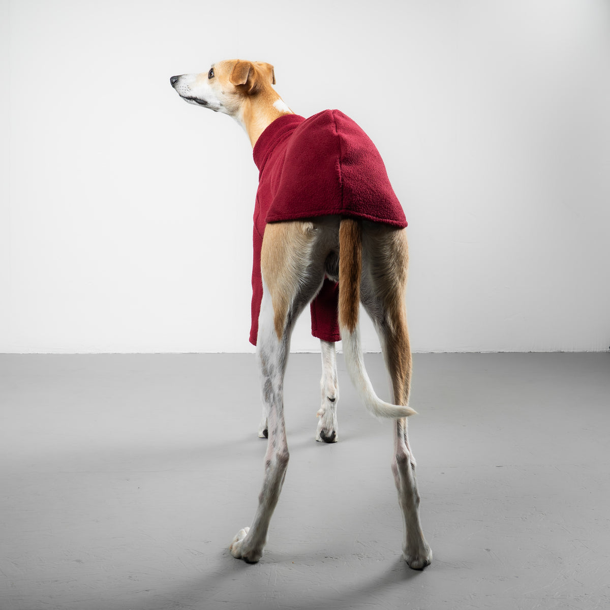 PULLOVER Windhund Weinrot