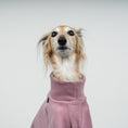Load image into Gallery viewer, Polar Fleece Sweater for Whippets Vol. 2. Mulberry 
