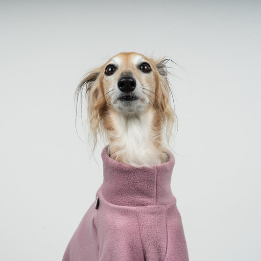Polar Fleece Sweater for Whippets Vol. 2. Mulberry 