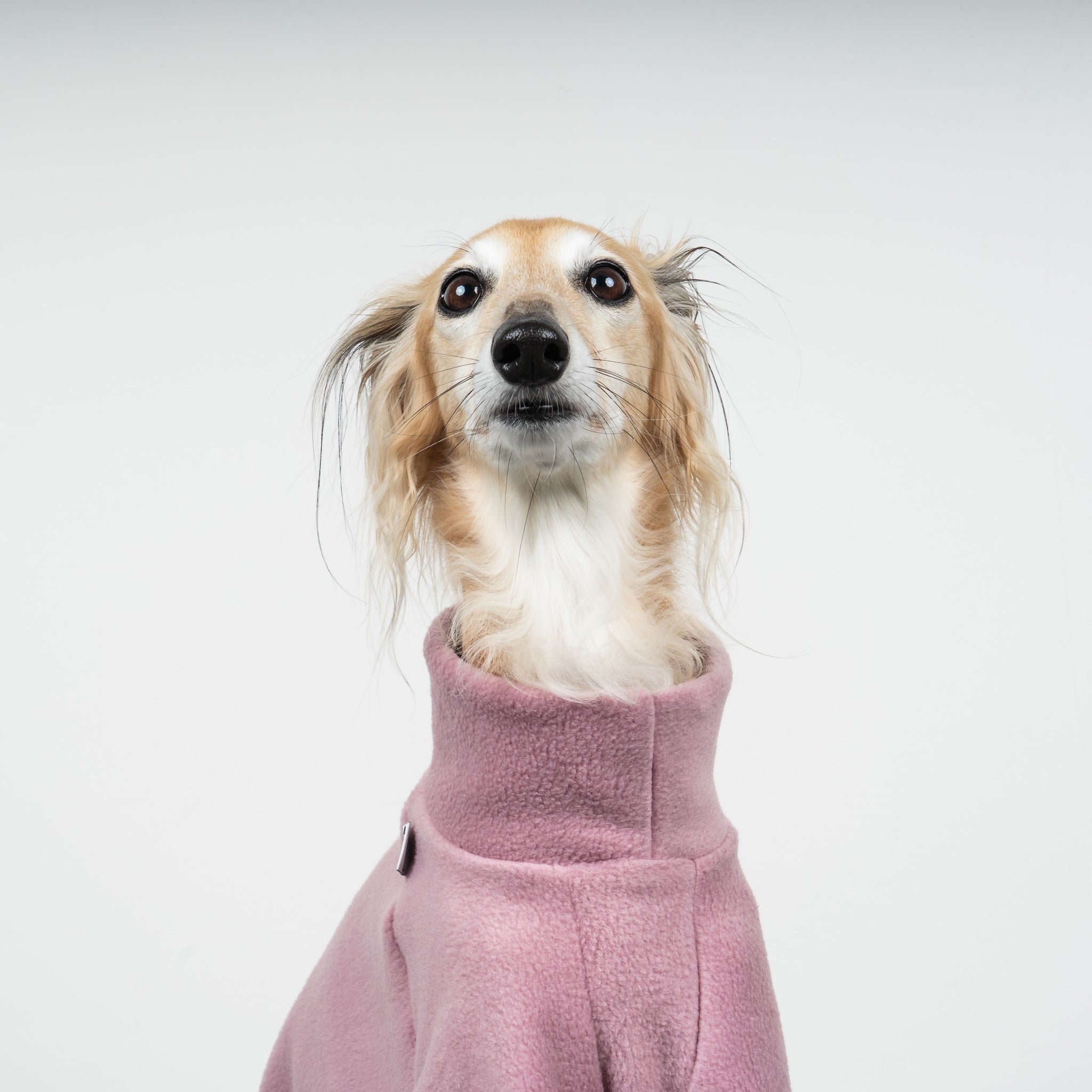 Polar Fleece Sweater for Whippets Vol. 2. Mulberry 