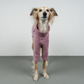 Load image into Gallery viewer, Polar Fleece Sweater for Whippets Vol. 2. Mulberry 
