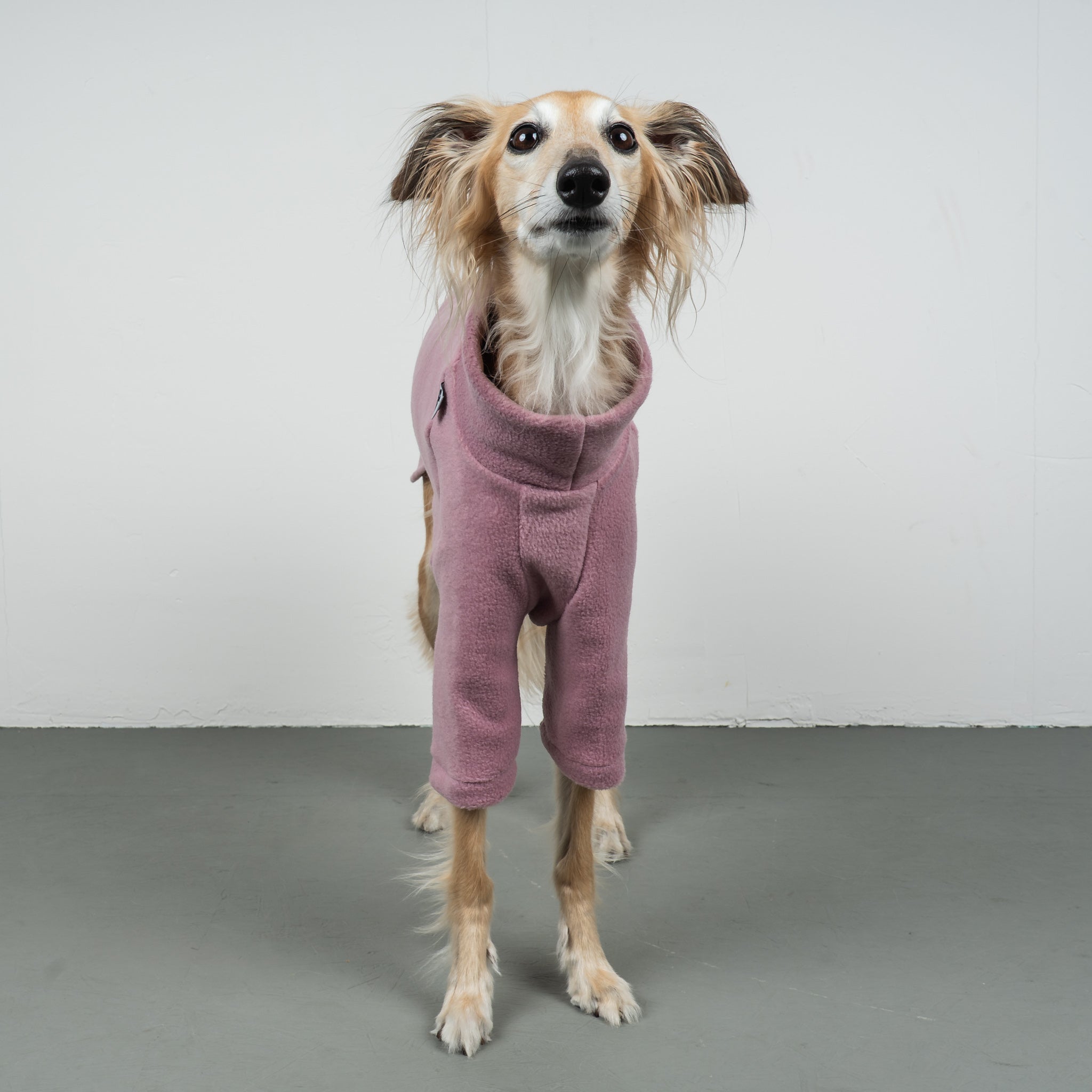 Polar Fleece Sweater for Whippets Vol. 2. Mulberry 