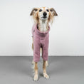 Load image into Gallery viewer, Polar Fleece Sweater for Whippets Vol. 2. Mulberry 
