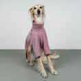 Load image into Gallery viewer, Polar Fleece Sweater for Whippets Vol. 2. Mulberry 
