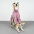 Load image into Gallery viewer, Polar Fleece Sweater for Whippets Vol. 2. Mulberry 
