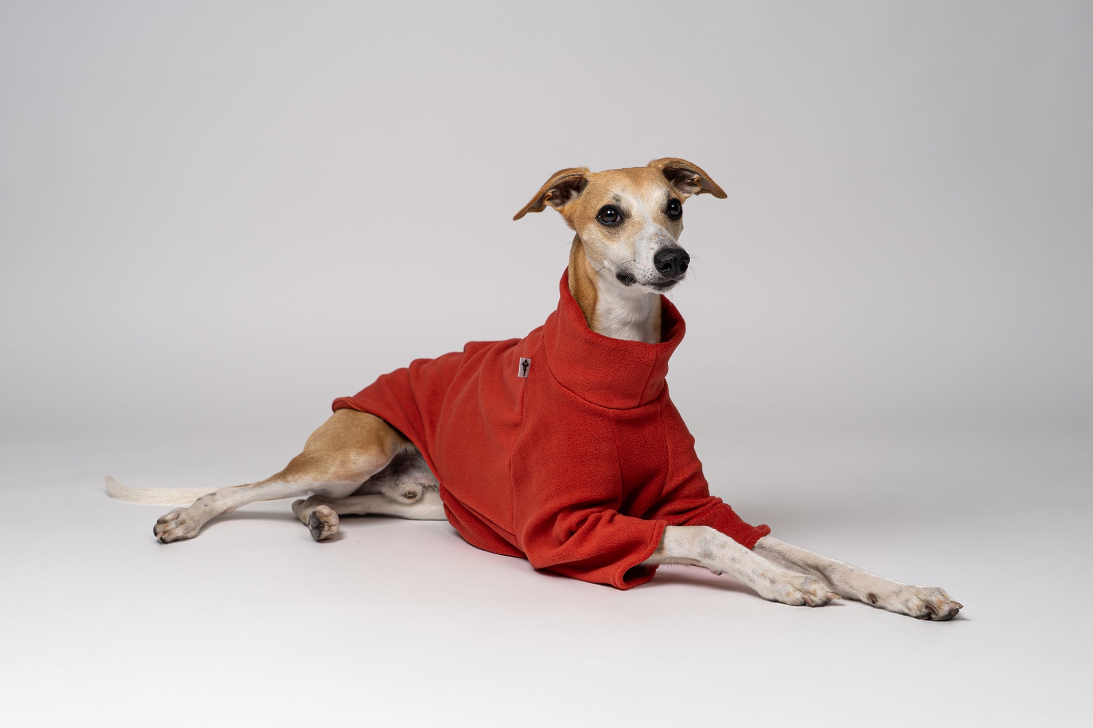 Windhundpullover aus Fleece in warmem Terracotta – perfekt geschnitten für den schlanken Körper eines Whippets