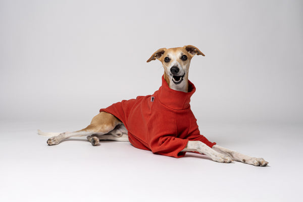 Whippet im Long Shirt in Terracotta – atmungsaktiver Fleecepullover für kühlere Tage