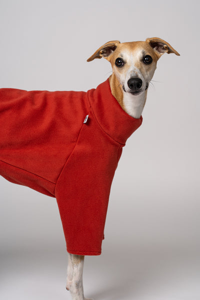 Fleecekleidung für Windhunde in Terracotta – eleganter Look für Whippets, Galgos & Co.