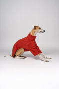 Load image into Gallery viewer, Whippet im Fleece-Pullover in Terracotta – körpernaher Schnitt für viel Bewegungsfreiheit
