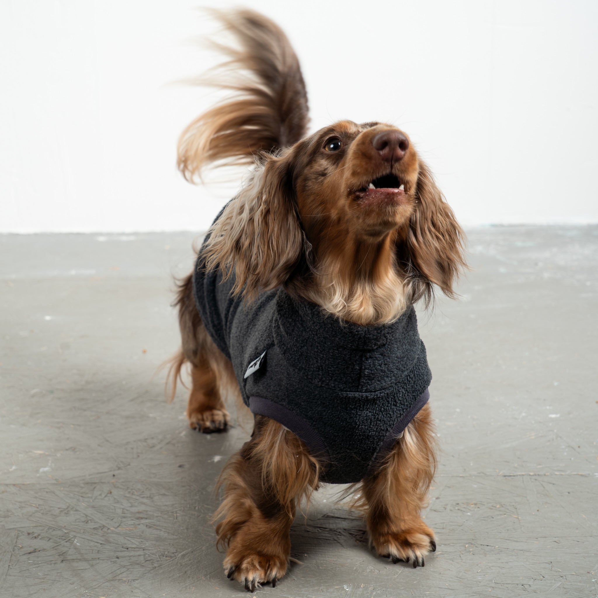Fleece Shirt Dackel Anthrazit – optimale Passform für Windhunde, Whippets und Dackel
