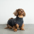 Load image into Gallery viewer, Fleece Shirt Dackel Anthrazit – handgefertigte Hundekleidung aus der Berliner Manufaktur von Karma Hund

