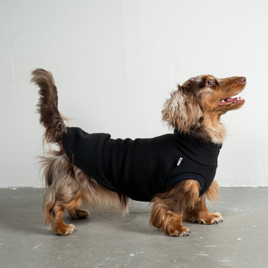 Fleece Shirt Dackel Schwarz – hochwertige Hundekleidung für Dackel, Windspiele und Windhunde von Karma Hund Berlin – Ganzkörperansicht am Hund