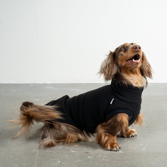 Fleece Shirt Dackel Schwarz – Close-up am Hund – hochwertige Hundekleidung von Karma Hund