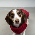 Load image into Gallery viewer, FLEECE SHIRT Dackel Bordeaux
