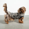 Load image into Gallery viewer, Fleece Shirt Dackel Leo – hochwertige Hundekleidung für Dackel, Windspiele und Windhunde von Karma Hund Berlin – Ganzkörperansicht am Hund
