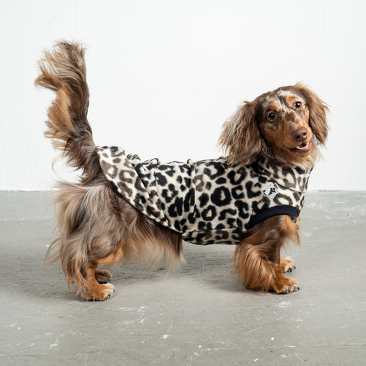 Fleece Shirt Dackel Leo – hochwertige Hundekleidung für Dackel, Windspiele und Windhunde von Karma Hund Berlin – Ganzkörperansicht am Hund