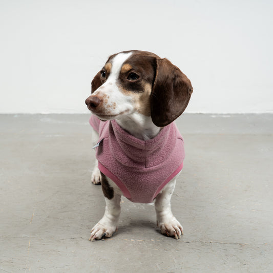 FLEECE SHIRT Dackel Mulberry
