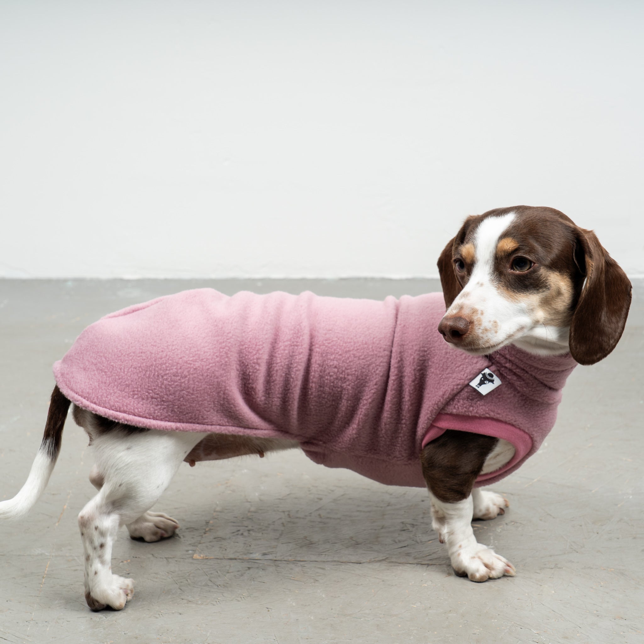 FLEECE SHIRT Dackel Mulberry