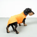 Load image into Gallery viewer, FLEECE SHIRT Dackel Orange
